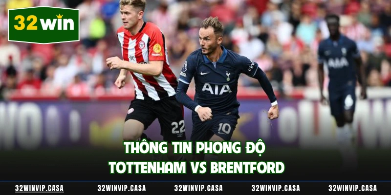 Thông tin phong độ Tottenham vs Brentford